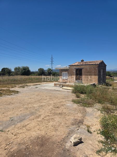Foto f2102462-35b1-4d1d-892f-3440c985c21f. Finca rústica a Manacor centre Manacor