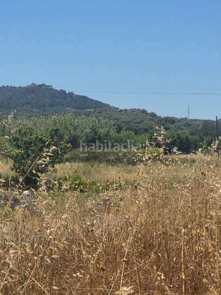 Foto 445f32c3-2a4e-480d-a186-8261ae9d36d9. Finca rústica a carrer de manacor 33 a Petra