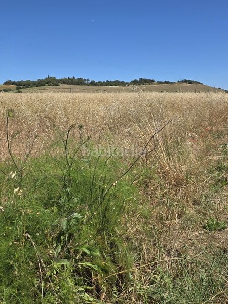 Foto 45ecbfc9-ffee-4668-9f8a-d1e751d77d01. Finca rústica a carrer de manacor 33 a Petra