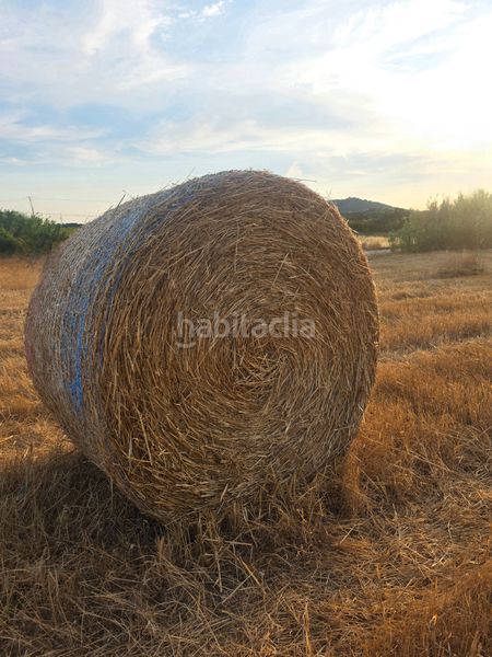 Foto a9e78417-a6bd-414b-b721-79305f3249a5. Finca rústica a carrer de manacor 36 a Petra