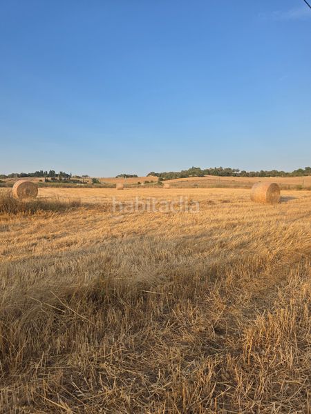 Foto b5448229-e879-46ca-9f40-042529ecb273. Finca rústica a carrer de manacor 36 a Petra
