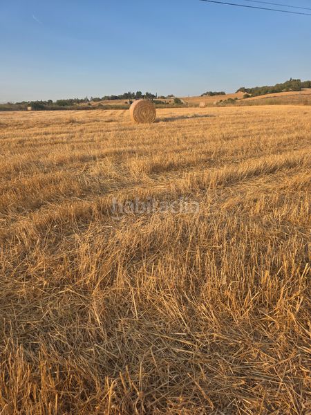 Foto e870a639-b48b-4629-b45e-539b2f51e4f9. Finca rústica a carrer de manacor 36 a Petra
