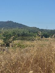 Rural plot in Carrer de manacor 33. ??? terreno rústico de 2.000 m² junto a la ma-3320a – excelente