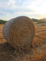 Rural plot in Carrer de manacor 36. ??? terreno rústico de 2.000 m² junto a la ma-3320a – excelente