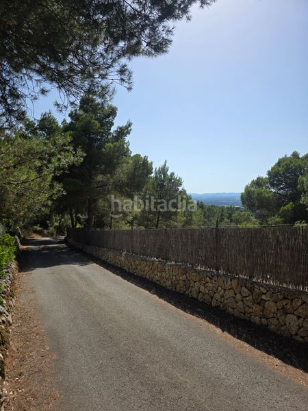 Foto 418f16ae-6690-4817-b1e5-c71be8730197. Finca rústica a Manacor centre Manacor