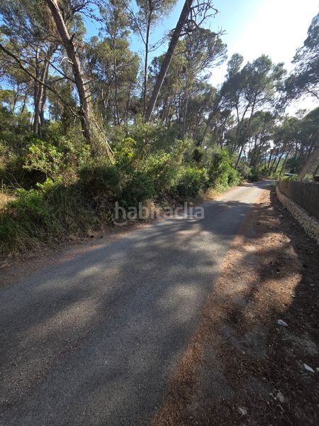 Foto b225d33f-fe29-4fb3-b906-4bfd624a7e38. Finca rústica a Manacor centre Manacor