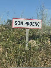 Rural plot in Manacor Centre. ??? ¡oportunidad única: pinar agrícola con vistas espectaculares