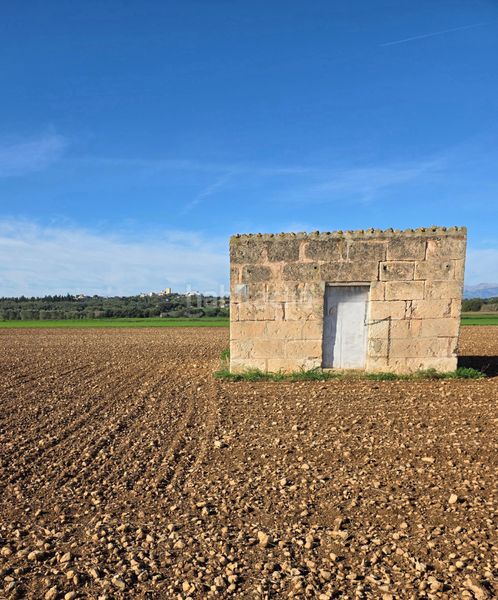 Foto 493323cb-e7fd-42e1-82c8-5e3749d3aa4c. Finca rústica a camí d' ariany 558 a Sineu
