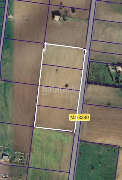 Foto b235592b-1841-41a7-b383-02d2e806f4fb. Finca rústica a camí d' ariany 558 a Sineu