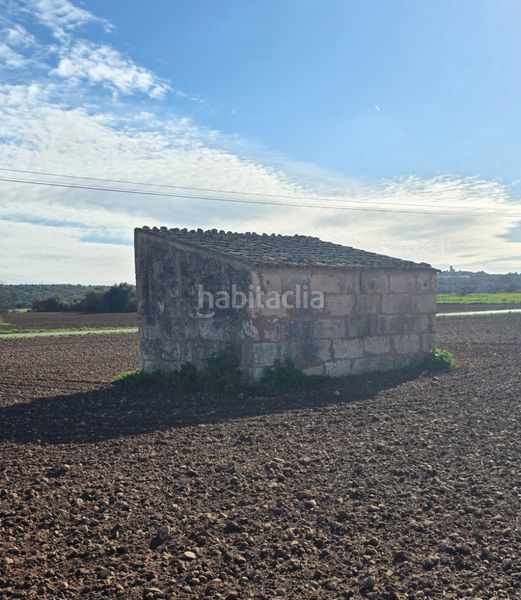Foto c98e3372-472a-462d-9117-296c75523c7f. Finca rústica a camí d' ariany 558 a Sineu