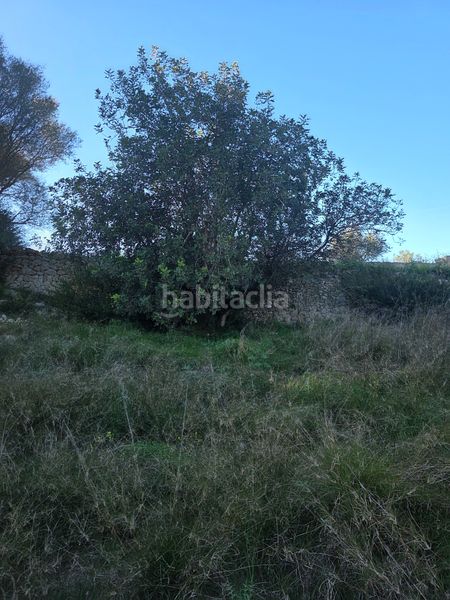 Foto 7450aee3-2939-4459-983c-d3c3fe339f33. Finca rústica a camí de son dalmau 2 a Petra
