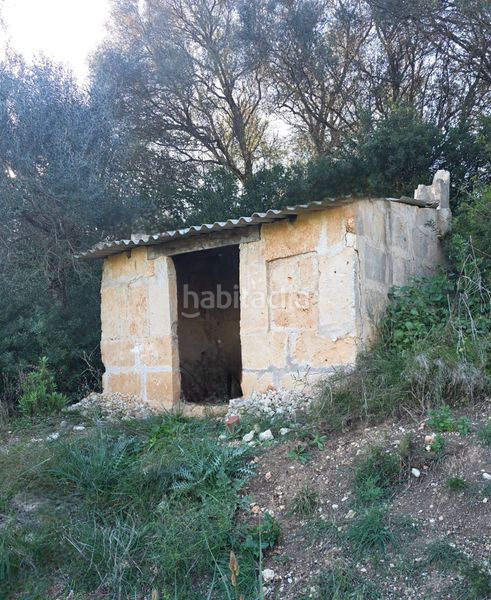 Foto bf631857-e059-4b48-8315-7b66e4b2a439. Finca rústica a camí de son dalmau 2 a Petra