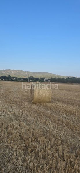 Foto 3d7e28dd-4653-4b1a-add3-305e0efedd69. Finca rústica a Sóller