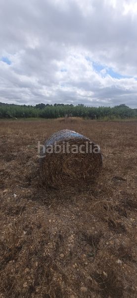 Foto 70ac68ec-8459-4be2-b007-49d667ab6080. Finca rústica a Petra