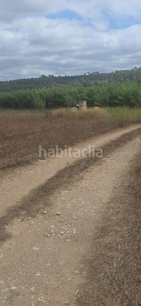 Foto ddbc7e8f-87fd-483f-a6ac-12330ce2f745. Finca rústica a Petra
