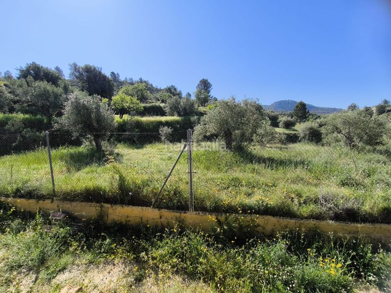 Foto f2e60552-e221-4270-a1cc-aeb2f3788910. Casa a Cocentaina