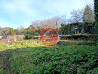 Finca rústica a Camilo liñares