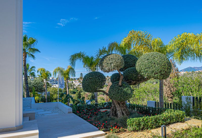 Foto 5d63511c-412a-4990-b0af-34ee484f729f. Xalet amb piscina a Divina Pastora Marbella