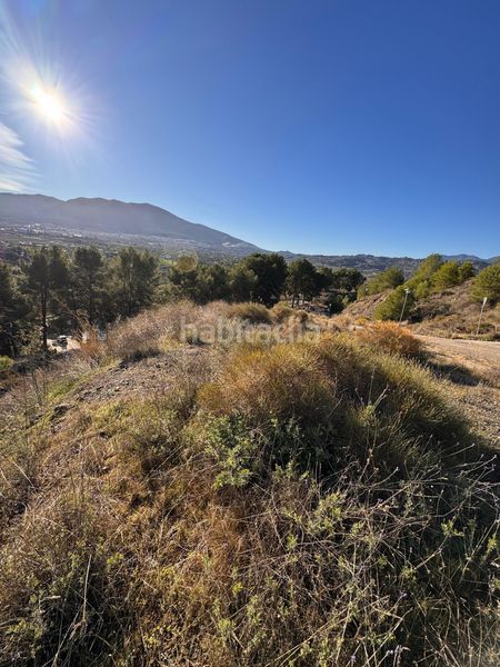 Foto 64100b5e-98e9-4233-ad45-95eabcaa3cfb. Chalet en Centro Histórico Málaga