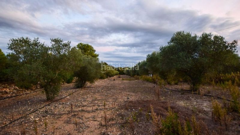 Foto e2390bc0-9e97-4773-94bb-6df309e37a0e. Masia a Santa Oliva