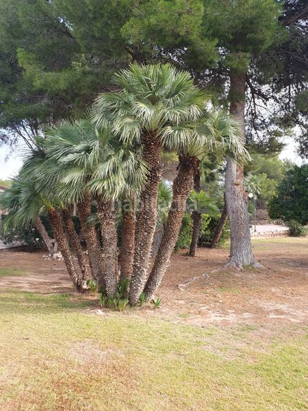 Foto 05ecfd3b-022f-42cf-8600-77fd21b79ddb. Xalet amb aparcament piscina a La Franquesa-Oasis Park Vendrell (El)