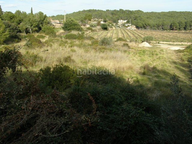 Foto 5c923f78-89dc-445a-b27f-a0ac5d190254. Finca rústica a Nord Vilanova i la Geltrú