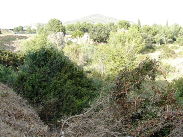 Foto 5e7c8b61-c8a1-42fa-9947-53749dd717eb. Finca rústica a Nord Vilanova i la Geltrú
