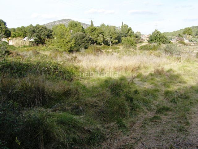 Foto a9ae2288-1635-401e-a311-9dd515614215. Finca rústica a Nord Vilanova i la Geltrú