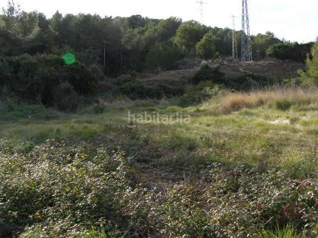 Foto d730d1bb-c8b5-42c3-8551-712875291c18. Finca rústica a Nord Vilanova i la Geltrú