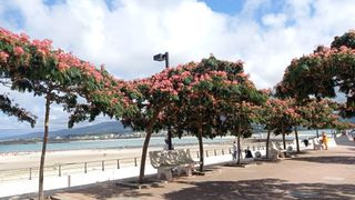 Etagenwohnung  Rego de foz 6. Piso 4 hab. a 50m. playa foz