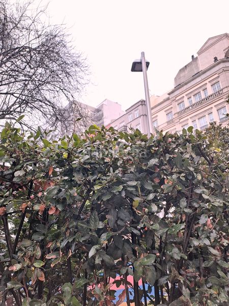 Foto 3d20c90f-4ecc-4def-a70d-d63c2bce4598. Pis a San Pablo - Juan Flórez Coruña (A)