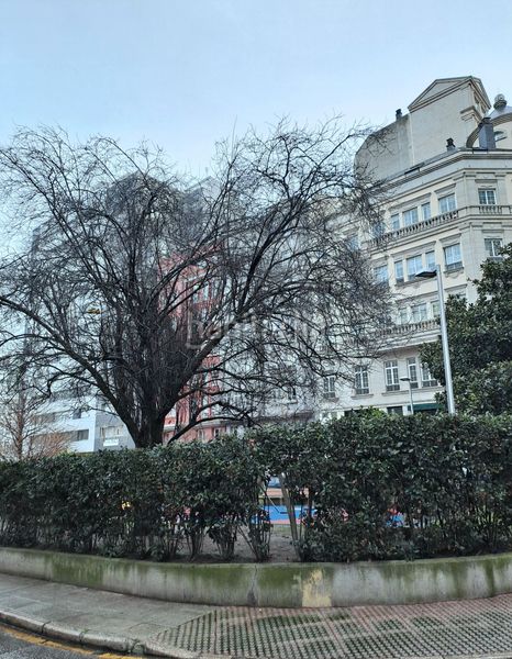 Foto ea87295b-e071-490b-9fcc-6c8338193707. Pis a San Pablo - Juan Flórez Coruña (A)