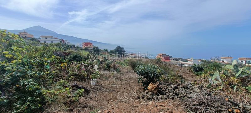 Foto 0960f7a1-99ec-4b9f-a520-f94f47b8c367. Finca rústica a calle zumacal 80 a La Corujera Santa Úrsula