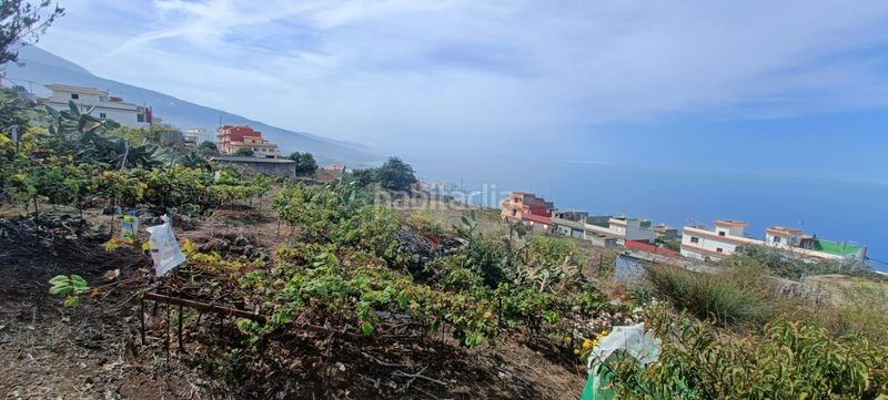 Foto 1923d760-efb6-4b07-a46b-5622f3cd1783. Finca rústica a calle zumacal 80 a La Corujera Santa Úrsula