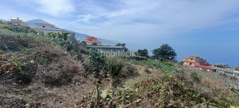 Foto 5fa6b4a4-fb6f-4f52-a812-4edecf6b8afc. Finca rústica a calle zumacal 80 a La Corujera Santa Úrsula