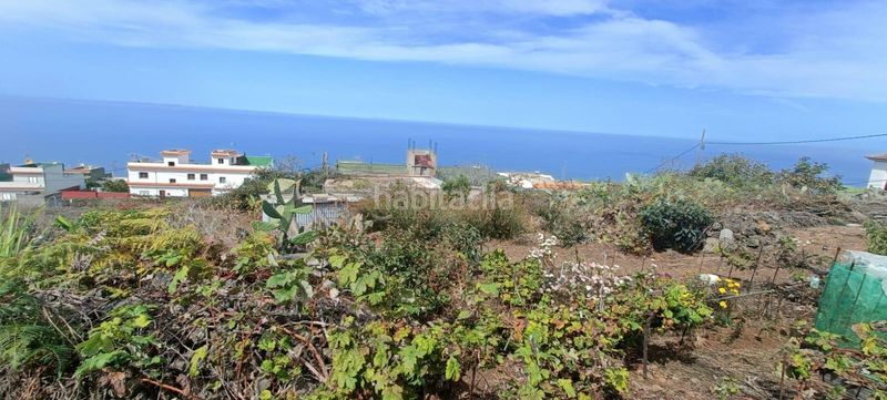 Foto 637583c0-a7a4-4b49-8ba6-daff30055cee. Finca rústica a calle zumacal 80 a La Corujera Santa Úrsula