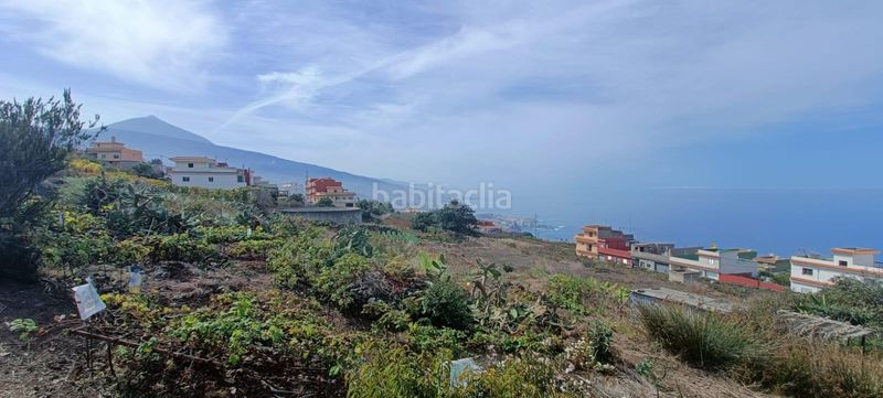 Foto 95fe74ab-ed90-4a65-9adc-68cbb449733a. Finca rústica a calle zumacal 80 a La Corujera Santa Úrsula