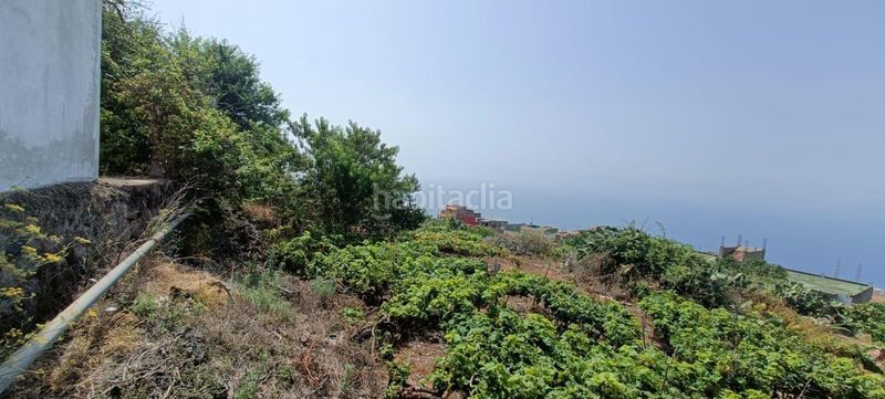 Foto 98162225-86a2-407e-948d-bb2253af72b2. Finca rústica a calle zumacal 80 a La Corujera Santa Úrsula