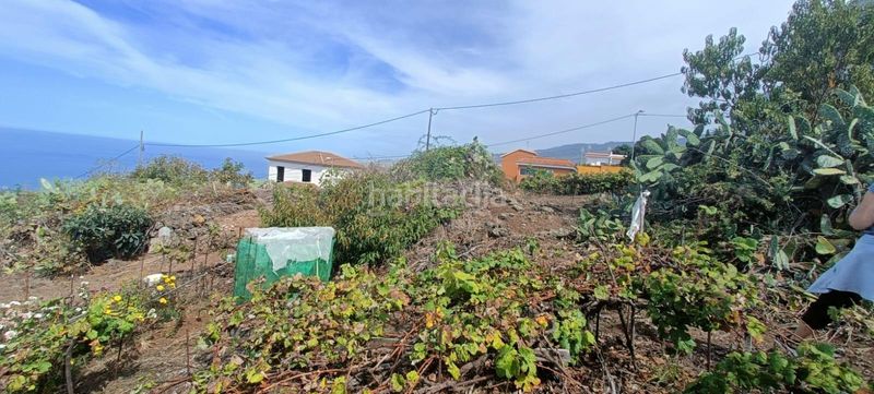 Foto d3c61b89-2a9d-4ba7-874e-04b5f3f914d5. Finca rústica a calle zumacal 80 a La Corujera Santa Úrsula