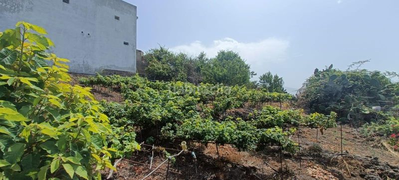 Foto daccdf65-4602-4691-a08c-d411c2d30fc5. Finca rústica a calle zumacal 80 a La Corujera Santa Úrsula