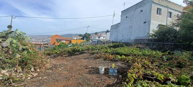 Foto f5d0b9d9-6b8c-4960-9136-09cd839896cd. Finca rústica a calle zumacal 80 a La Corujera Santa Úrsula