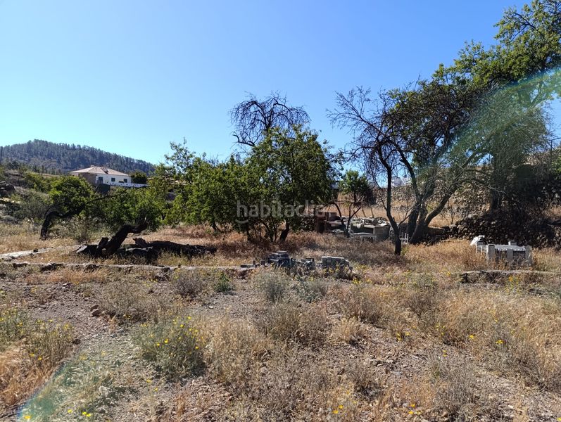 Foto c5a3791a-93dc-4345-bfef-fc0382bdaeea. Terreny residencial a Vilaflor