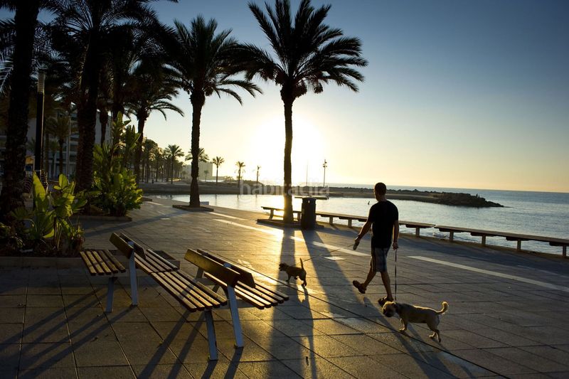 Foto 717c328a-a373-4319-a900-1a82164bb692. Apartamento en Punta Prima Torrevieja