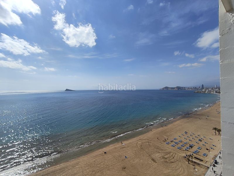 Foto 25e19c83-e258-4c4c-8ed3-745f89437631. Estudi amb calefacció aparcament piscina a Playa Levante Benidorm