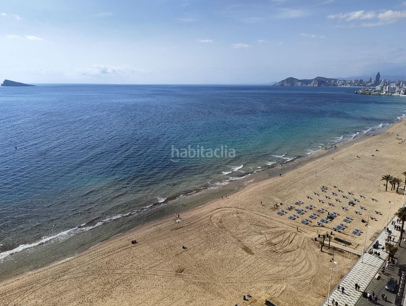 Foto 8041024a-3585-4434-98ae-4f52f06ad8ff. Estudi amb calefacció aparcament piscina a Playa Levante Benidorm