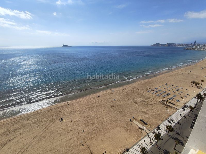 Foto ad386892-3159-4a84-ae3c-74ceca780c56. Estudi amb calefacció aparcament piscina a Playa Levante Benidorm