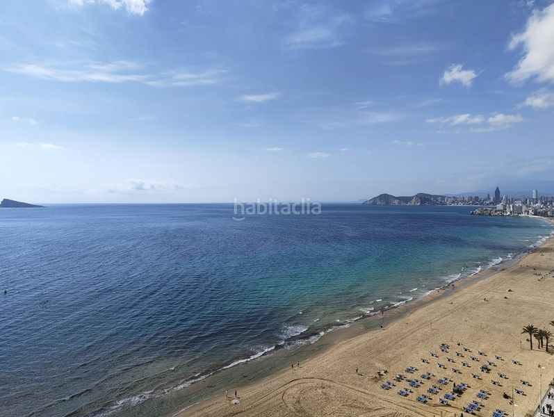 Foto c1eaa55d-a813-42e8-9990-693c5db655e1. Estudi amb calefacció aparcament piscina a Playa Levante Benidorm