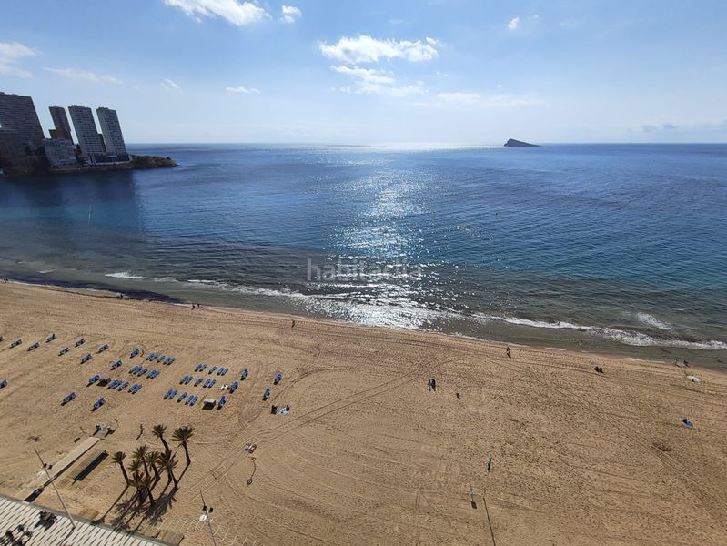 Foto c88026e0-d348-4bf2-93d5-153cd2458a8d. Estudi amb calefacció aparcament piscina a Playa Levante Benidorm