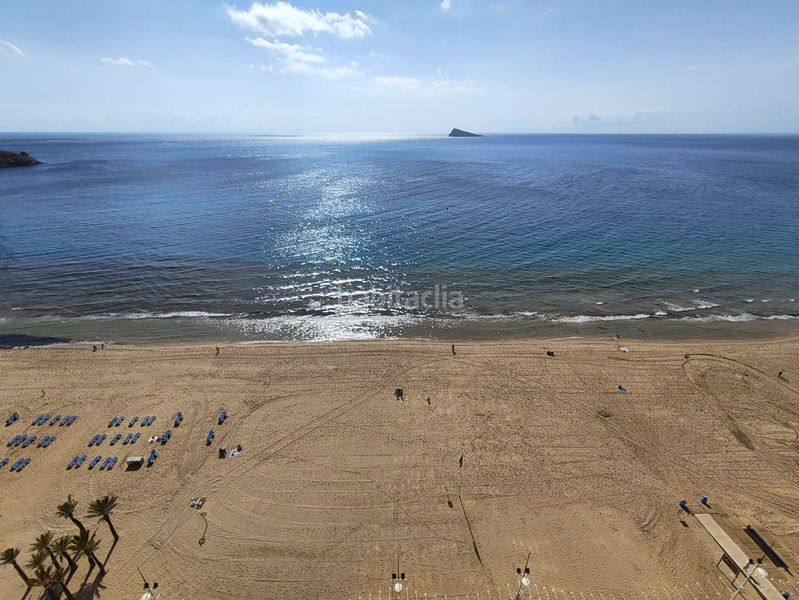 Foto dee4b0b5-09e8-4f2c-8ff8-d7f7cba16715. Estudi amb calefacció aparcament piscina a Playa Levante Benidorm