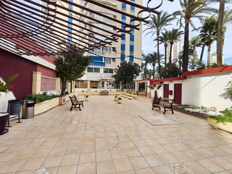 Foto e00cdd2f-5e19-4206-b364-b35af0721dba. Estudi amb calefacció aparcament piscina a Playa Levante Benidorm